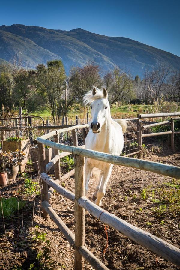 Aasvoelkrans Guest Farm Bed and Breakfast Montagu Exterior foto